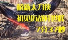 灭尽之嗣爆料视频大全,揭秘幕后真相与精彩瞬间